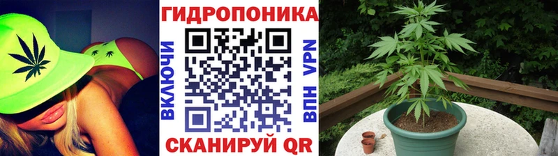 Каннабис конопля  hydra tor  Верхний Тагил  купить закладку 